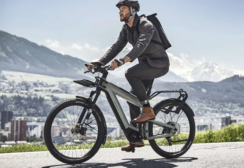 ebike riese et muller